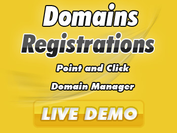 Modestly priced domain name services